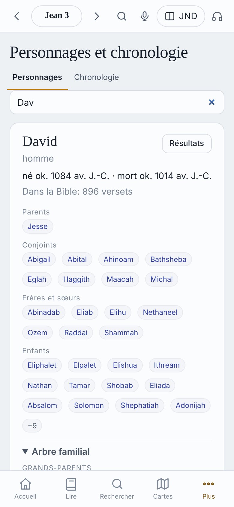 David : parents, épouses, enfants